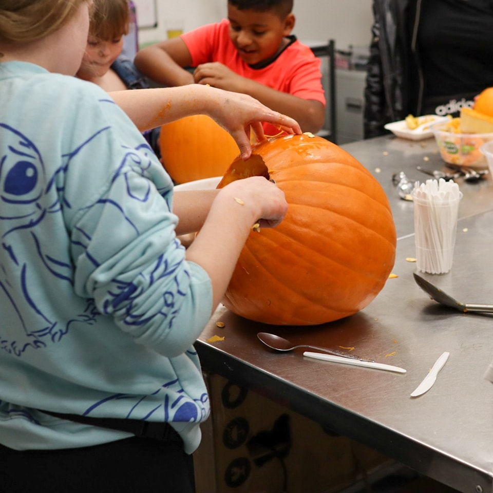 Pumpkin carving. A young person carving a pumpkin on a metal table. 