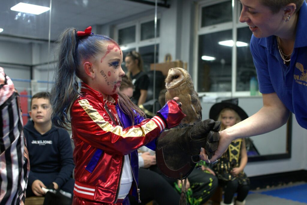 A young girl dressed like Harley Quinn holding a barn owl 